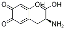 6-uͱY(ji)(gu)ʽ_135791-48-9Y(ji)(gu)ʽ