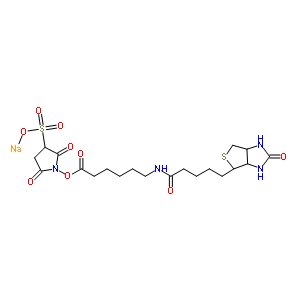 c2,5--1-[(6-{[5-(2--1H-Բ[3,4-d]-4-)]})]-3-Y(ji)(gu)ʽ_191671-46-2Y(ji)(gu)ʽ