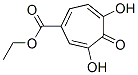 4,5-u-3--1,4,6-h(hun)ϩ-1-Y(ji)(gu)ʽ_379216-03-2Y(ji)(gu)ʽ