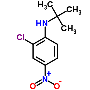 2--N-(1,1-׻һ)-4--Y(ji)(gu)ʽ_6085-52-5Y(ji)(gu)ʽ