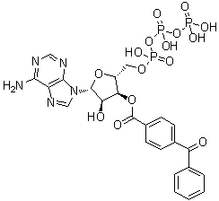 BzatpY(ji)(gu)ʽ_81790-82-1Y(ji)(gu)ʽ