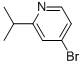 4--2-ऽY(ji)(gu)ʽ_908267-63-0Y(ji)(gu)ʽ