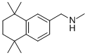 N-׻-1-(5,5,8,8-ļ׻-5,6,7,8-Ě-2-)װYʽ_950603-16-4Yʽ