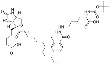 N2-t-嶡ʻ-N6-(-6-N-)هY(ji)(gu)ʽ_102910-26-9Y(ji)(gu)ʽ