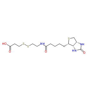 3-[2-N-(ػ)һ]Y(ji)(gu)ʽ_104582-29-8Y(ji)(gu)ʽ
