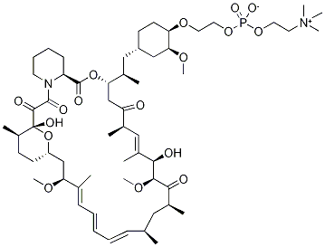 42-O-[2-[[u[2-(׻@)]]]һ]ù؃(ni)}Y(ji)(gu)ʽ_1062645-51-5Y(ji)(gu)ʽ
