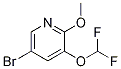 5--3-()-2-ऽYʽ_1241752-50-0Yʽ