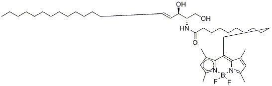 C12-(jng)Y(ji)(gu)ʽ_1246355-58-7Y(ji)(gu)ʽ