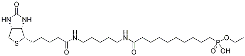 10--N-Y(ji)(gu)ʽ_1246814-63-0Y(ji)(gu)ʽ