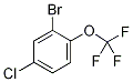 2--4--1-()Y(ji)(gu)ʽ_1260810-00-1Y(ji)(gu)ʽ