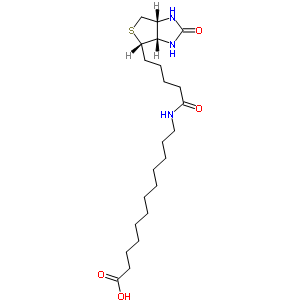 N-ػ-12-ʮYʽ_135447-73-3Yʽ