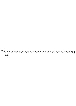 27-׻ʮY(ji)(gu)ʽ_1560-98-1Y(ji)(gu)ʽ