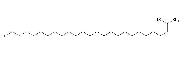 2-׻ʮY(ji)(gu)ʽ_1561-02-0Y(ji)(gu)ʽ