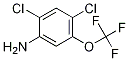 2,4--5-()Yʽ_1598-42-1Yʽ
