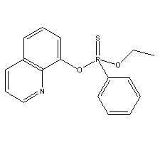 ׽Yʽ_1776-83-6Yʽ