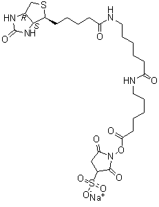 6-[[6-[[5-[(3AS,4S,6AR)--2--1H-Բ[3,4-D]-4-]-1-]]-1-]]- 2,5--3-ǻ-1-c}Y(ji)(gu)ʽ_194041-66-2Y(ji)(gu)ʽ