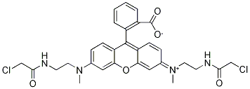 N,N-[2-()һ]-N,N-׻õ徫Y(ji)(gu)ʽ_203580-79-4Y(ji)(gu)ʽ