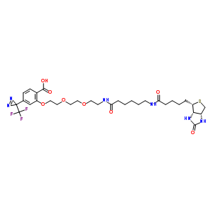 2-{[10,17--21-(2--1H-Բ[3,4-d]-4-)-3,6-s-9,16-sʮһ̼-1-]}-4-[3-(׻)-3H-sh(hun)ϩ-3-]Y(ji)(gu)ʽ_207971-23-1Y(ji)(gu)ʽ