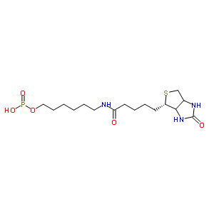 6-N-ػY(ji)(gu)ʽ_224583-35-1Y(ji)(gu)ʽ