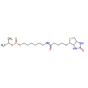 6-N-ػY(ji)(gu)ʽ_224583-37-3Y(ji)(gu)ʽ