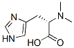N,N-׻-L-MY(ji)(gu)ʽ_24940-57-6Y(ji)(gu)ʽ