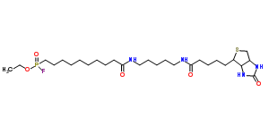 FP-ؽY(ji)(gu)ʽ_259270-28-5Y(ji)(gu)ʽ