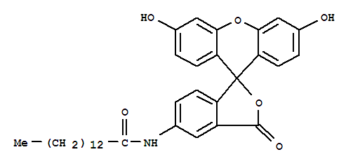 5-(ʮ)ɹؽY(ji)(gu)ʽ_75796-37-1Y(ji)(gu)ʽ