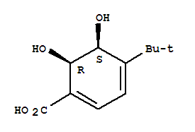 (9ci)-4-(1,1-׻һ)-5,6-u-1,3-h(hun)ϩ-1-Y(ji)(gu)ʽ_775267-87-3Y(ji)(gu)ʽ