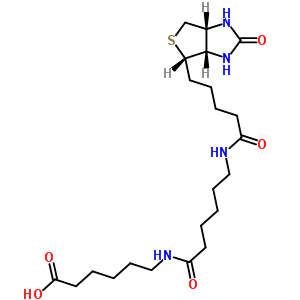 6-((6-((ػ))))Y(ji)(gu)ʽ_89889-51-0Y(ji)(gu)ʽ