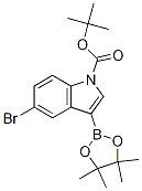 5--3-(4,4,5,5-ļ׻-1,3,2-f-2-)-1H--1-嶡Y(ji)(gu)ʽ_1024677-85-7Y(ji)(gu)ʽ