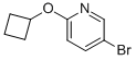 5--2-(h(hun))ऽY(ji)(gu)ʽ_1159816-70-2Y(ji)(gu)ʽ