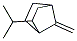 (9ci)-7-׻-2-(1-׻һ)-ph(hun)[2.2.1]Y(ji)(gu)ʽ_125909-73-1Y(ji)(gu)ʽ