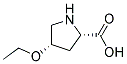 l-ʽ-(8ci)-4--Y(ji)(gu)ʽ_13500-57-7Y(ji)(gu)ʽ