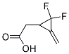 (9ci)-2,2--3-׻-h(hun)Y(ji)(gu)ʽ_199176-95-9Y(ji)(gu)ʽ