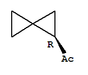 (9ci)-1-(1r)-[2.2]-ͪY(ji)(gu)ʽ_249563-60-8Y(ji)(gu)ʽ
