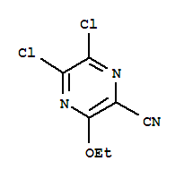 (9CI)-5,6--3--ຼY(ji)(gu)ʽ_258884-69-4Y(ji)(gu)ʽ