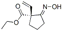 (1R)-1-ϩ-2-(u)-h(hun)Yʽ_335260-40-7Yʽ