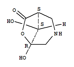 (1S,5R,8S)-(9Ci)-5,8-u-6-f-3-sph(hun)[3.2.1]-7-ͪY(ji)(gu)ʽ_355117-74-7Y(ji)(gu)ʽ