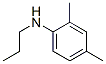 (9CI)-2,4-׻-N-Yʽ_356532-66-6Yʽ