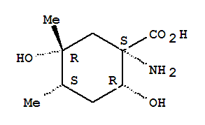 (1R,2S,4R,5S)-Rel-(9Ci)-1--2,5-u-4,5-׻-h(hun)Y(ji)(gu)ʽ_367507-83-3Y(ji)(gu)ʽ