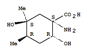 (1R,2S,4S,5R)-Rel-(9Ci)-1--2,5-u-4,5-׻-h(hun)Y(ji)(gu)ʽ_367507-93-5Y(ji)(gu)ʽ