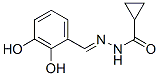(9ci)-[(2,3-u)׻]­h(hun)Y(ji)(gu)ʽ_475139-72-1Y(ji)(gu)ʽ