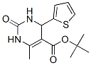 (9CI)-1,2,3,4-Ě-6-׻-2--4-(2-)-5- 1,1-׻Y(ji)(gu)ʽ_500268-74-6Y(ji)(gu)ʽ