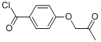 (9CI)-4-(2-)-ȽY(ji)(gu)ʽ_500869-20-5Y(ji)(gu)ʽ