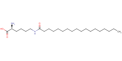 N6-(1-ʮ˻)-l-هY(ji)(gu)ʽ_52616-32-7Y(ji)(gu)ʽ