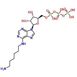 N(6)-Y(ji)(gu)ʽ_53602-93-0Y(ji)(gu)ʽ