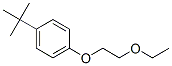 1-嶡-4-(2-)Y(ji)(gu)ʽ_54889-97-3Y(ji)(gu)ʽ