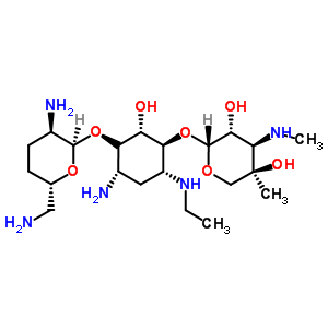 (1S,2S,3S,4R,6S)-6--3-{[3-Ó-4-C-׻-3-(׻)-beta-L-ǻ]}-4-(һ)-2-uh(hun)2,6--2,3,4,6-Ó-alpha-D-ʽ-ૼսY(ji)(gu)ʽ_59711-96-5Y(ji)(gu)ʽ