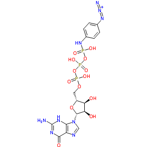 GTP gamma-4-BY(ji)(gu)ʽ_60869-76-3Y(ji)(gu)ʽ
