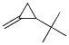 1-(1,1-׻һ)-2-׻h(hun)Y(ji)(gu)ʽ_61142-25-4Y(ji)(gu)ʽ